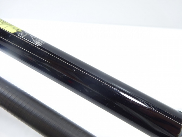 19ソルティアドバンス シーバス S96ML
